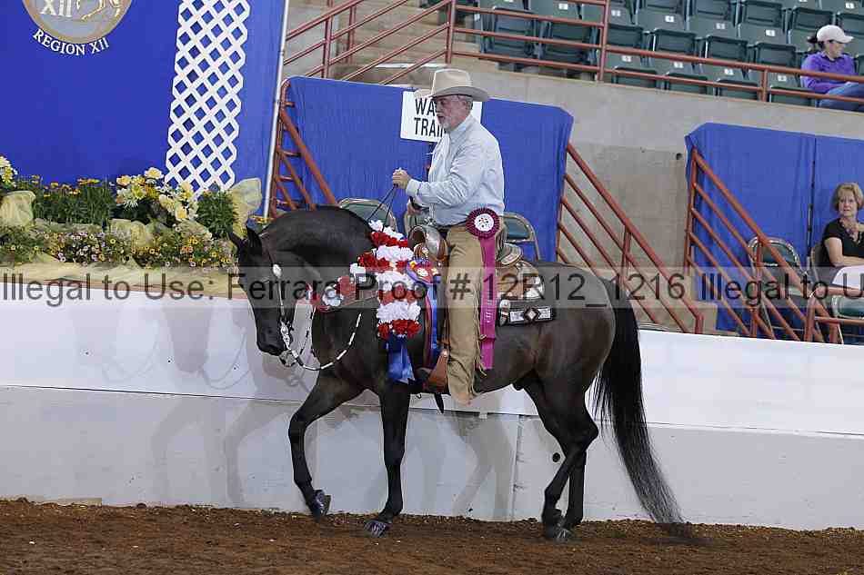 Proof Number 12r12_1216