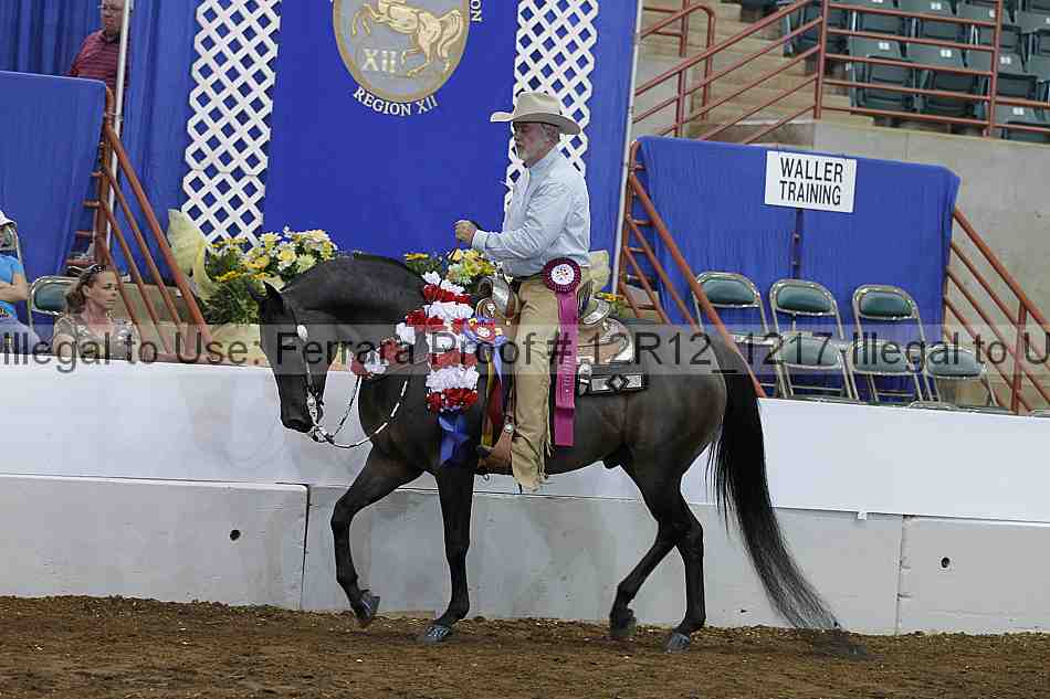 Proof Number 12r12_1217
