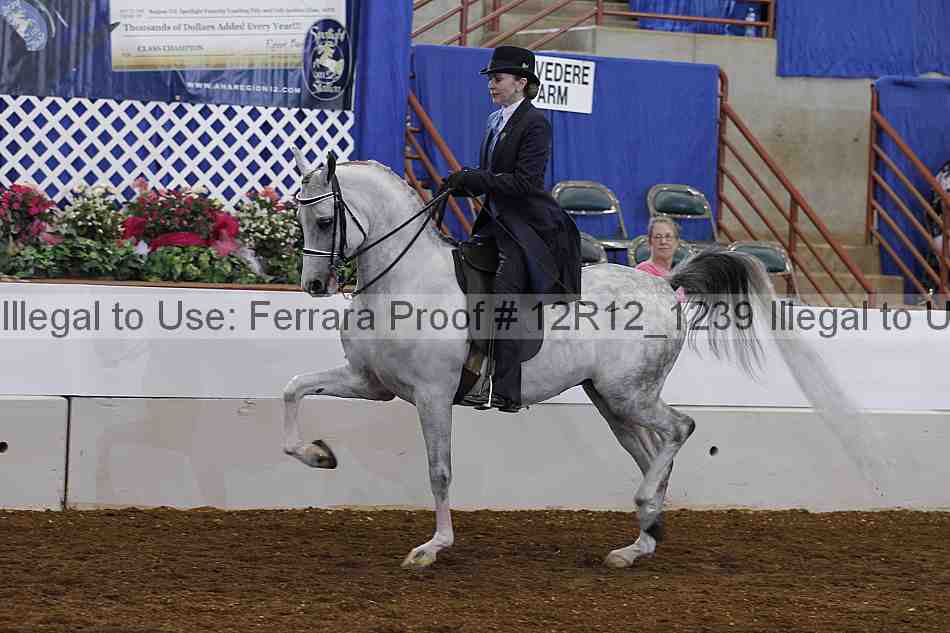 Proof Number 12r12_1239