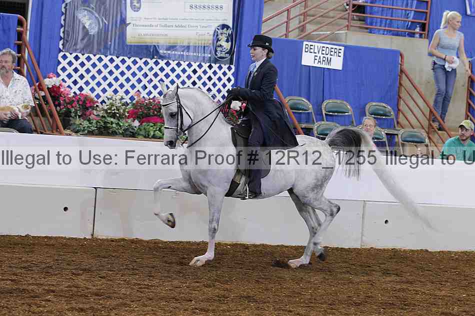 Proof Number 12r12_1255