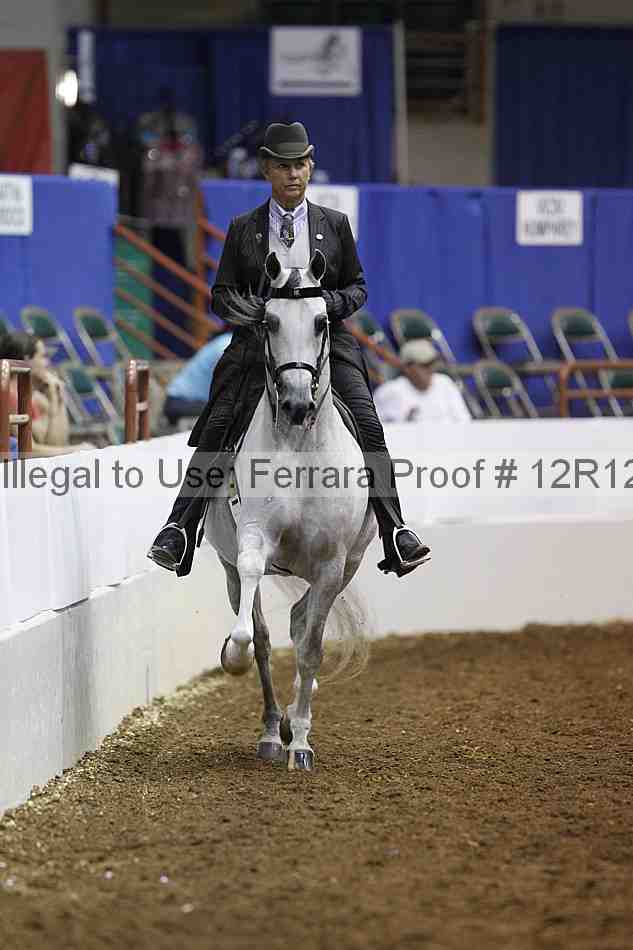 Proof Number 12r12_1256
