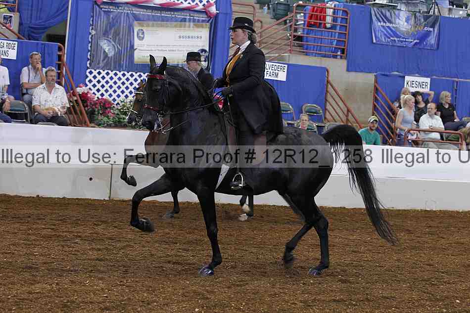 Proof Number 12r12_1258