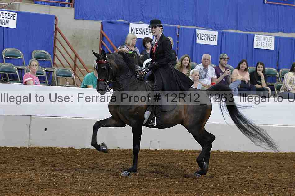 Proof Number 12r12_1263
