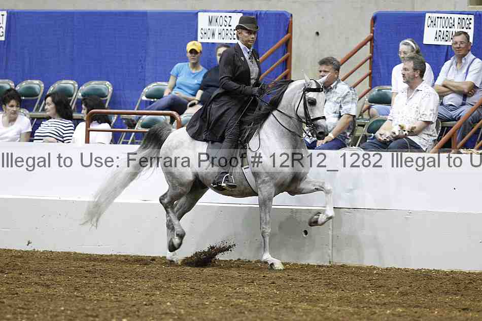 Proof Number 12r12_1282