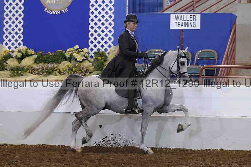Proof Number 12r12_1290