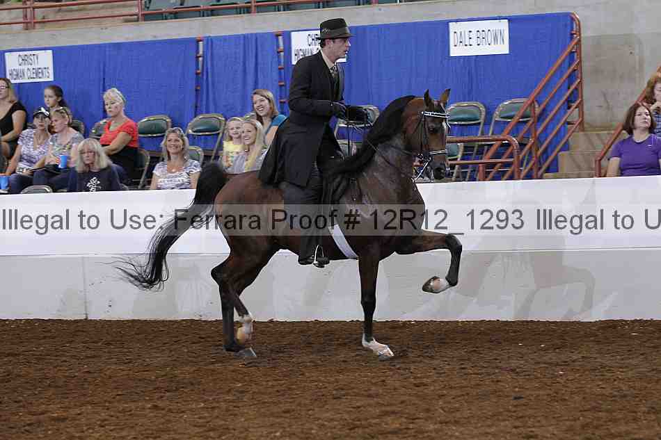 Proof Number 12r12_1293