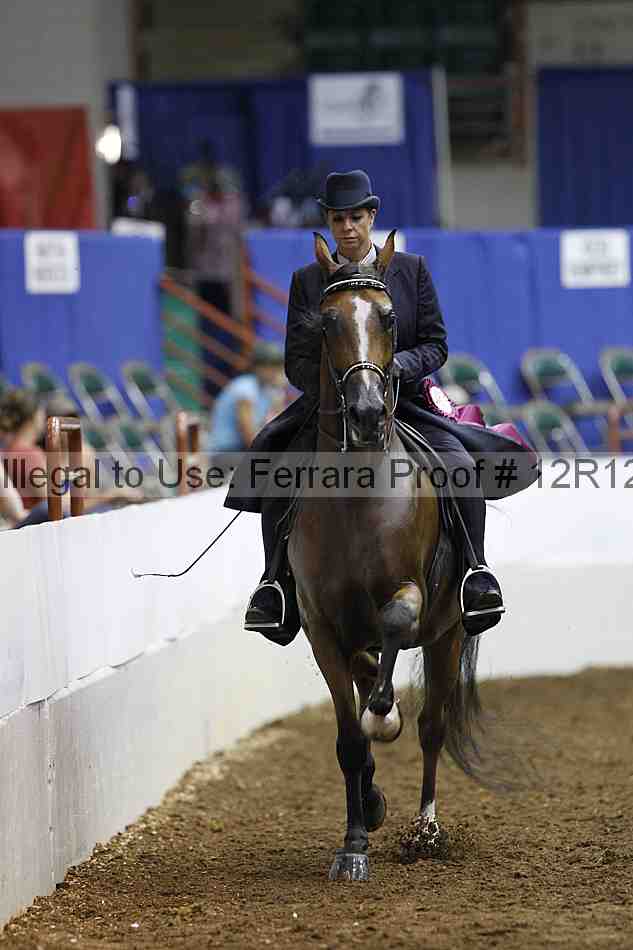 Proof Number 12r12_1308