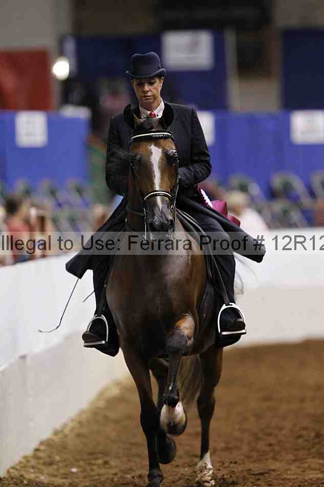 Proof Number 12r12_1309
