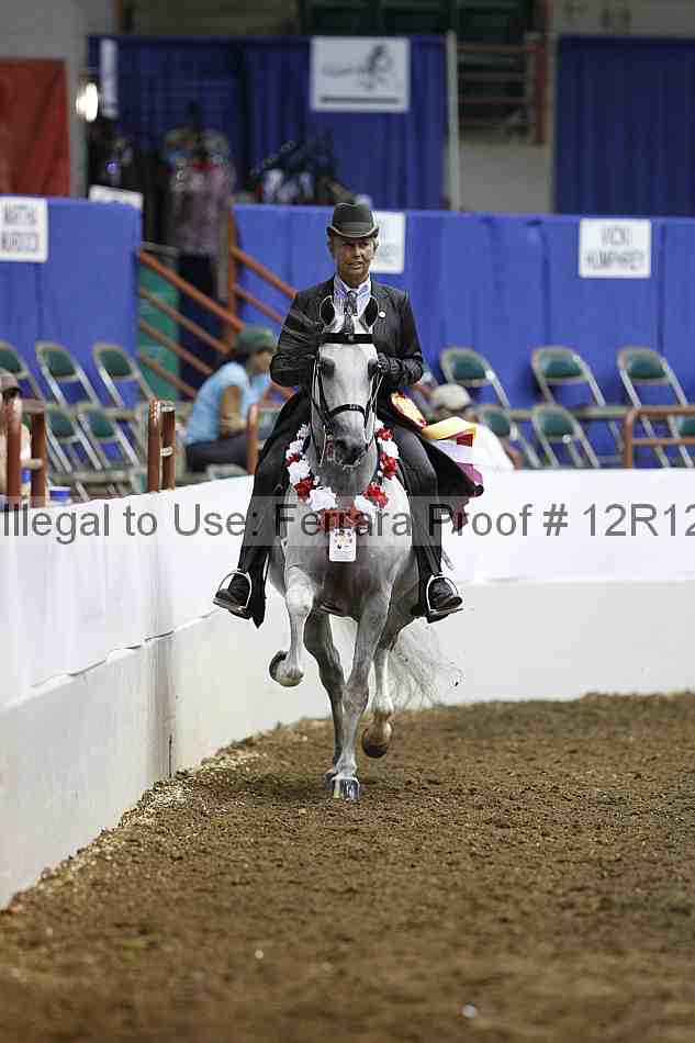 Proof Number 12r12_1319