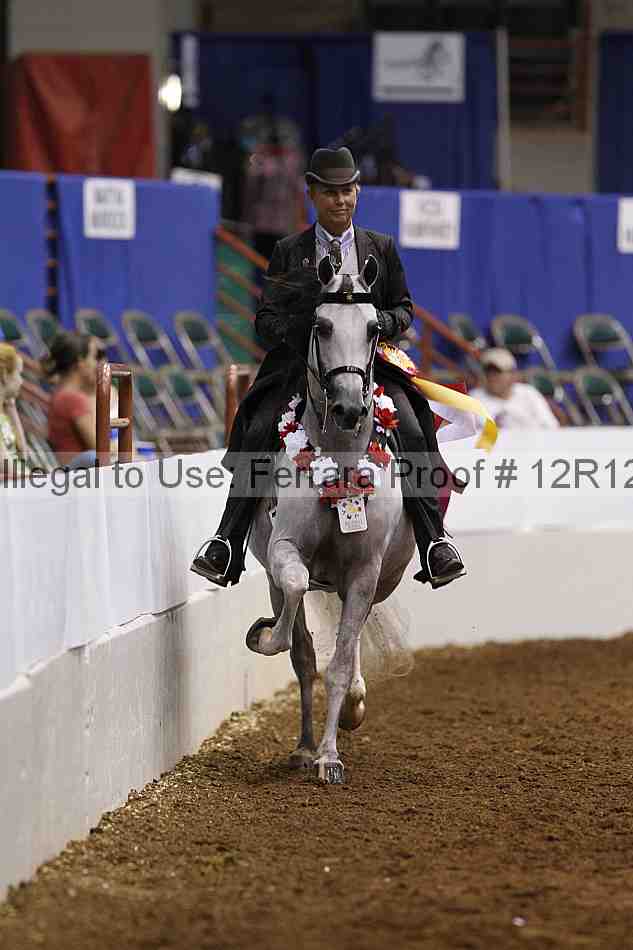 Proof Number 12r12_1320