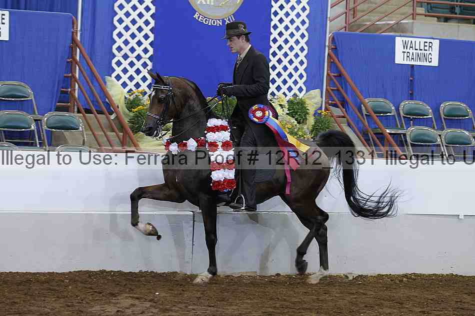 Proof Number 12r12_1331