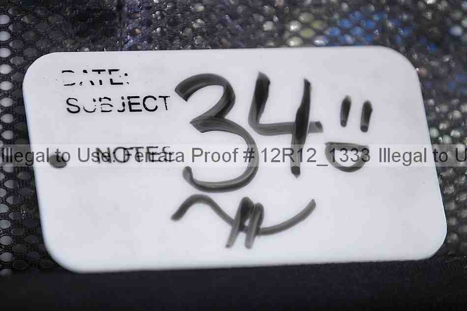 Proof Number 12r12_1333