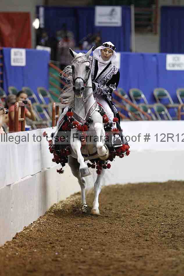 Proof Number 12r12_1358