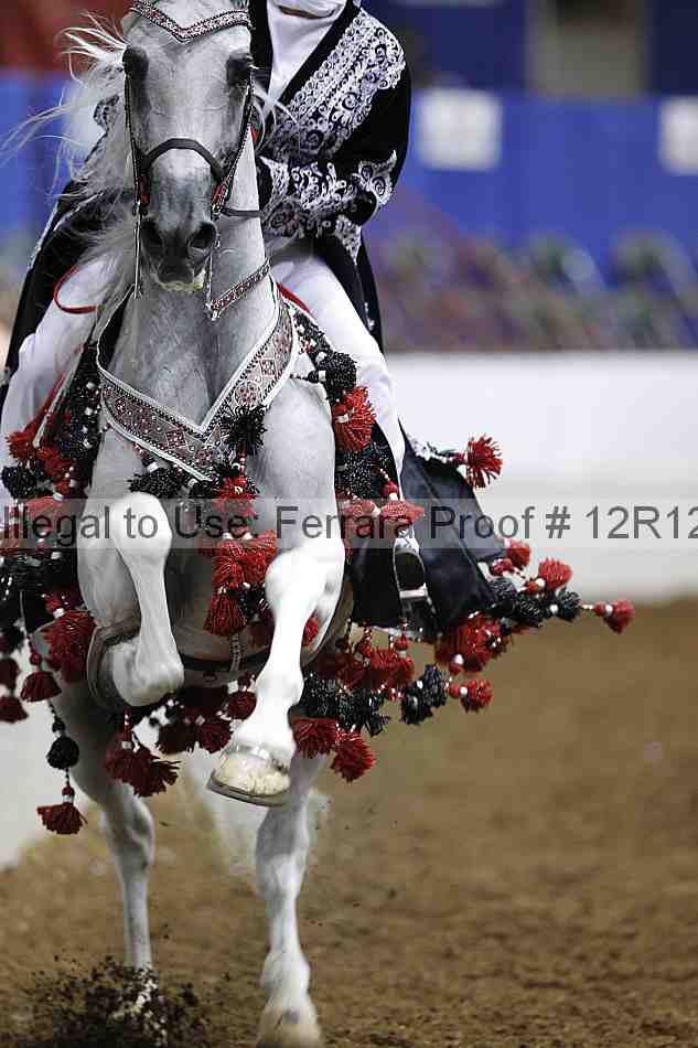 Proof Number 12r12_1359