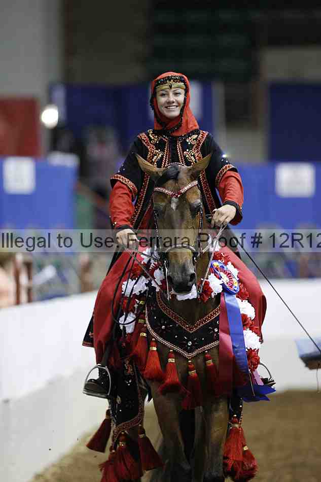 Proof Number 12r12_1373