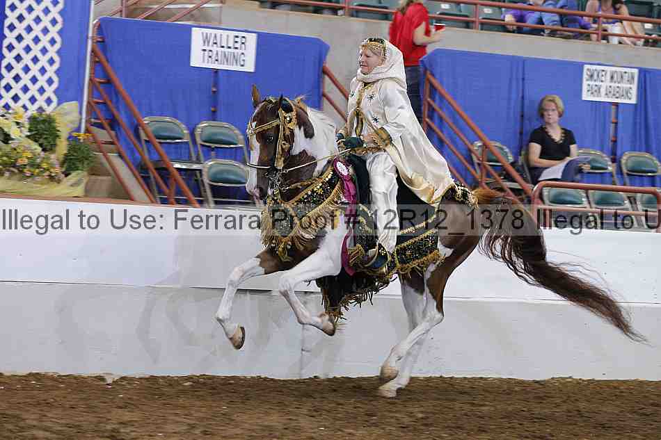 Proof Number 12r12_1378