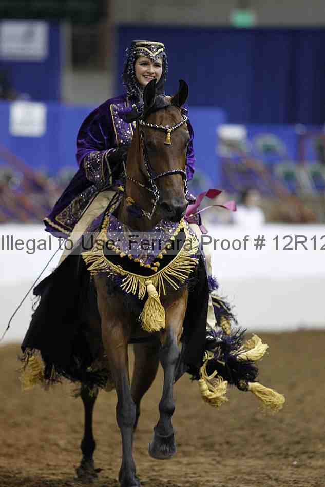 Proof Number 12r12_1381