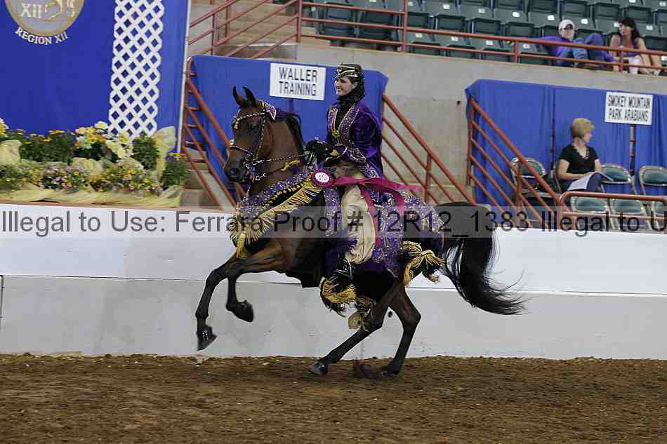 Proof Number 12r12_1383