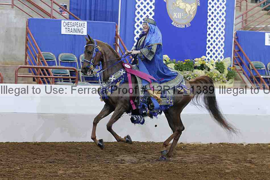 Proof Number 12r12_1389