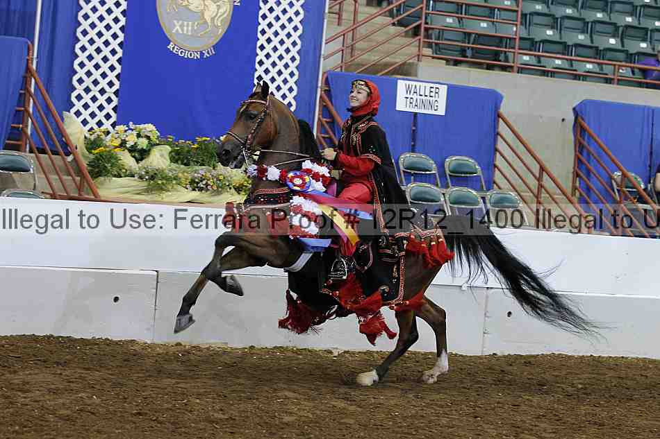 Proof Number 12r12_1400