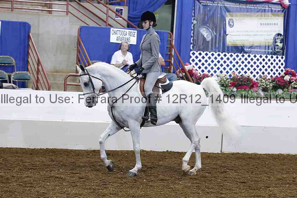 Proof Number 12r12_1409