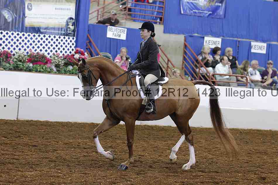 Proof Number 12r12_1423