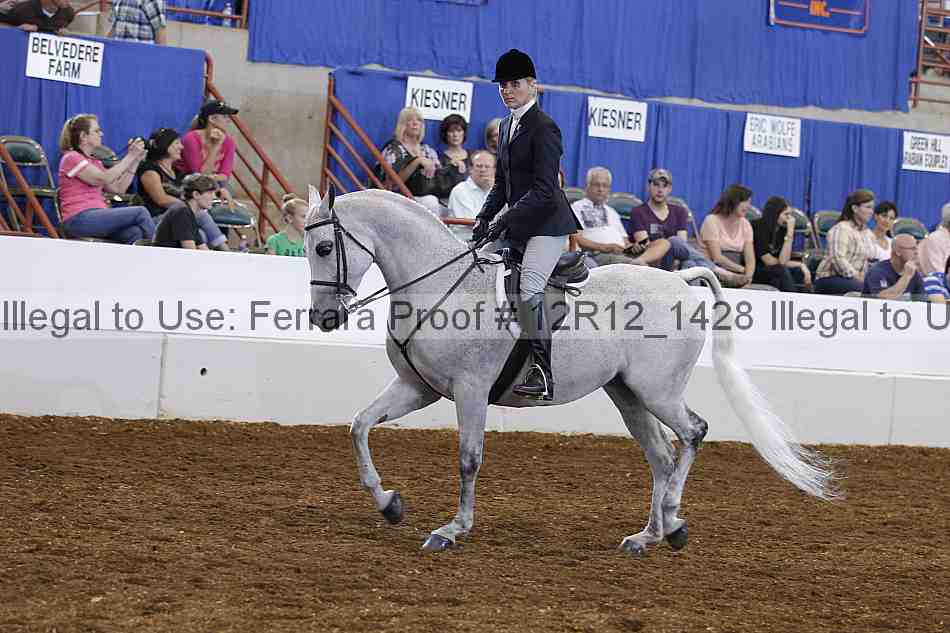 Proof Number 12r12_1428