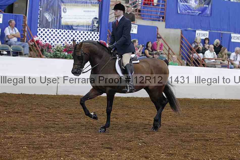 Proof Number 12r12_1431