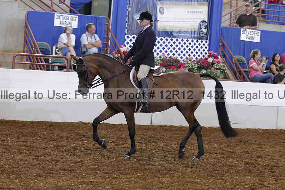 Proof Number 12r12_1432
