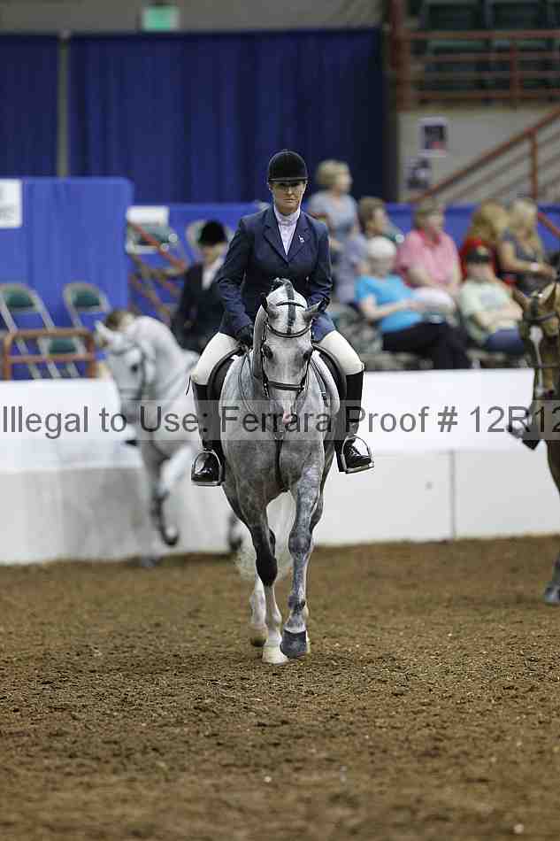 Proof Number 12r12_1445