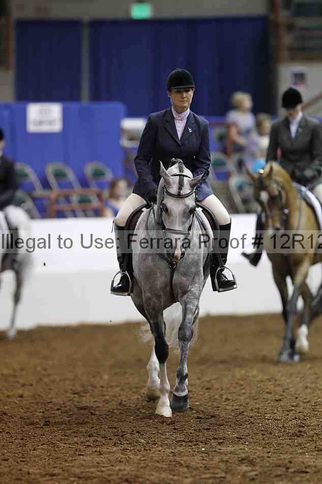 Proof Number 12r12_1446