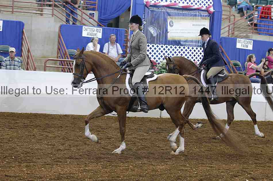 Proof Number 12r12_1447