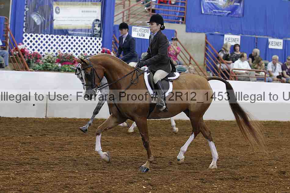 Proof Number 12r12_1453