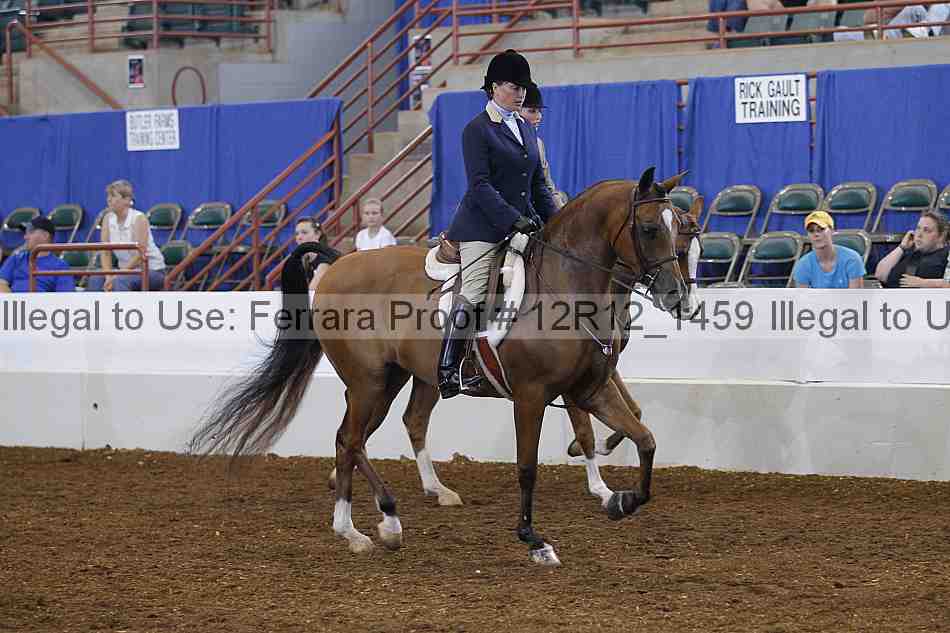 Proof Number 12r12_1459
