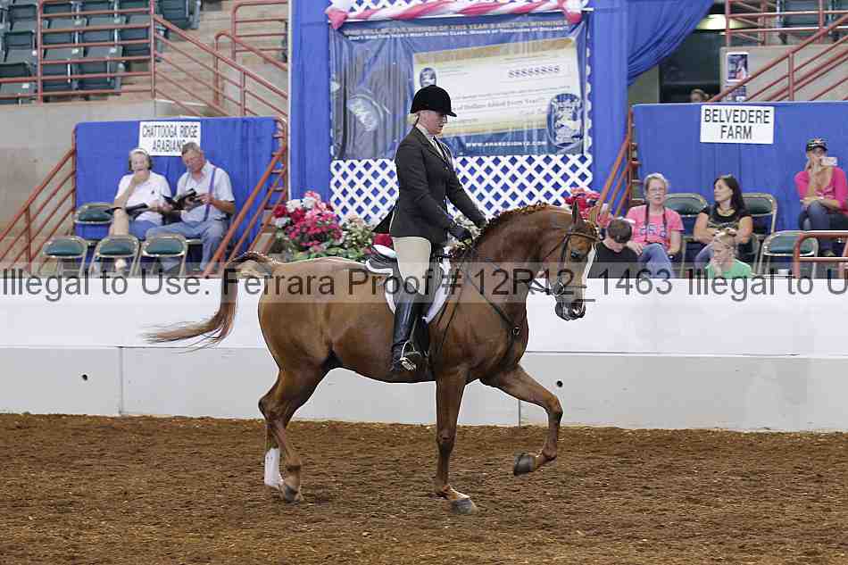 Proof Number 12r12_1463