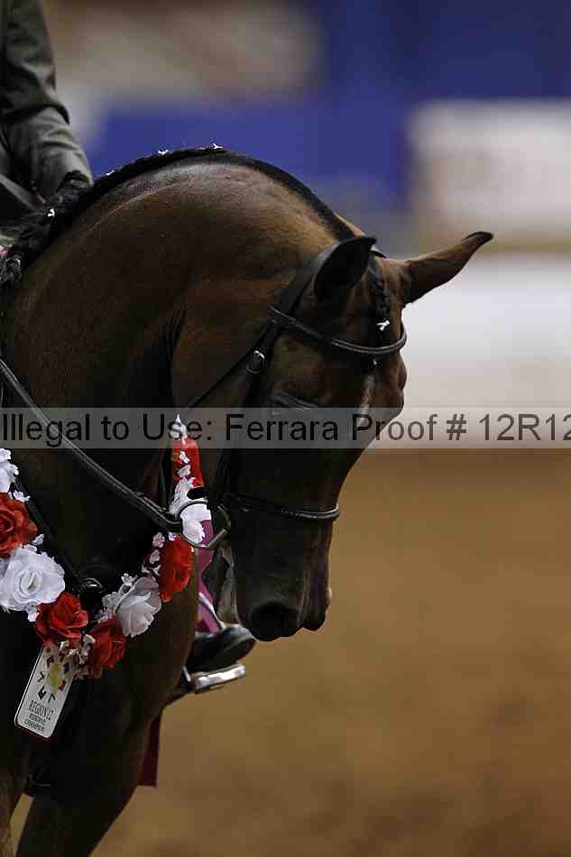 Proof Number 12r12_1471