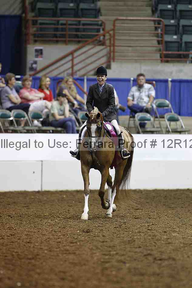 Proof Number 12r12_1473
