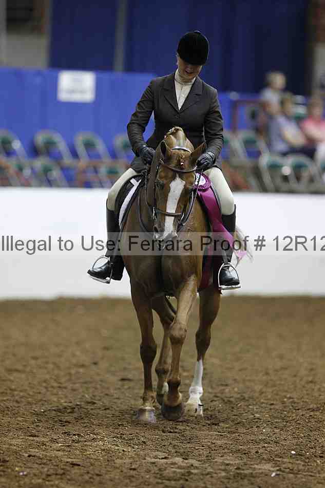 Proof Number 12r12_1483