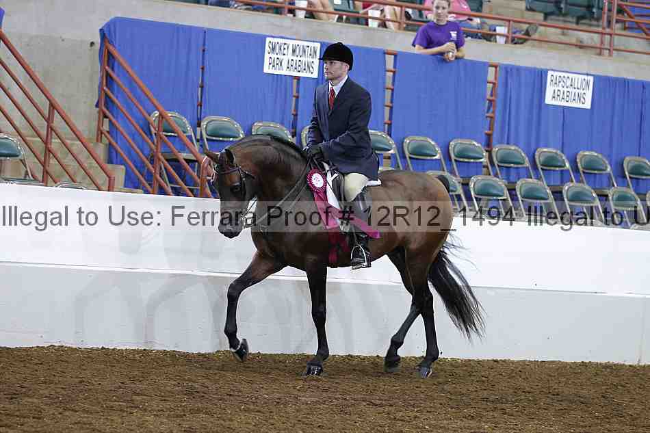 Proof Number 12r12_1494