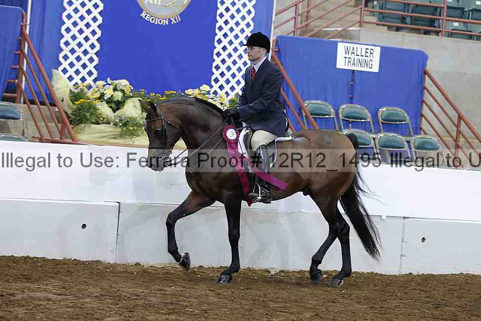 Proof Number 12r12_1495