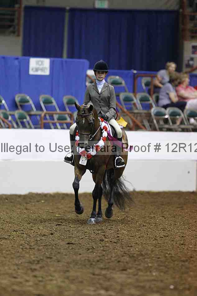 Proof Number 12r12_1496