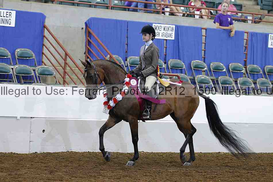 Proof Number 12r12_1500