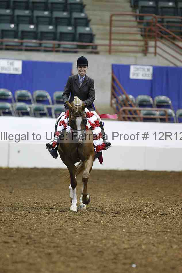 Proof Number 12r12_1501