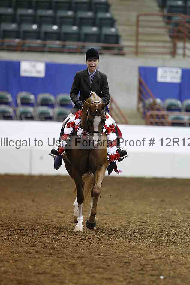 Proof Number 12r12_1502