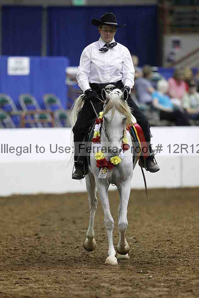 Proof Number 12r12_1538