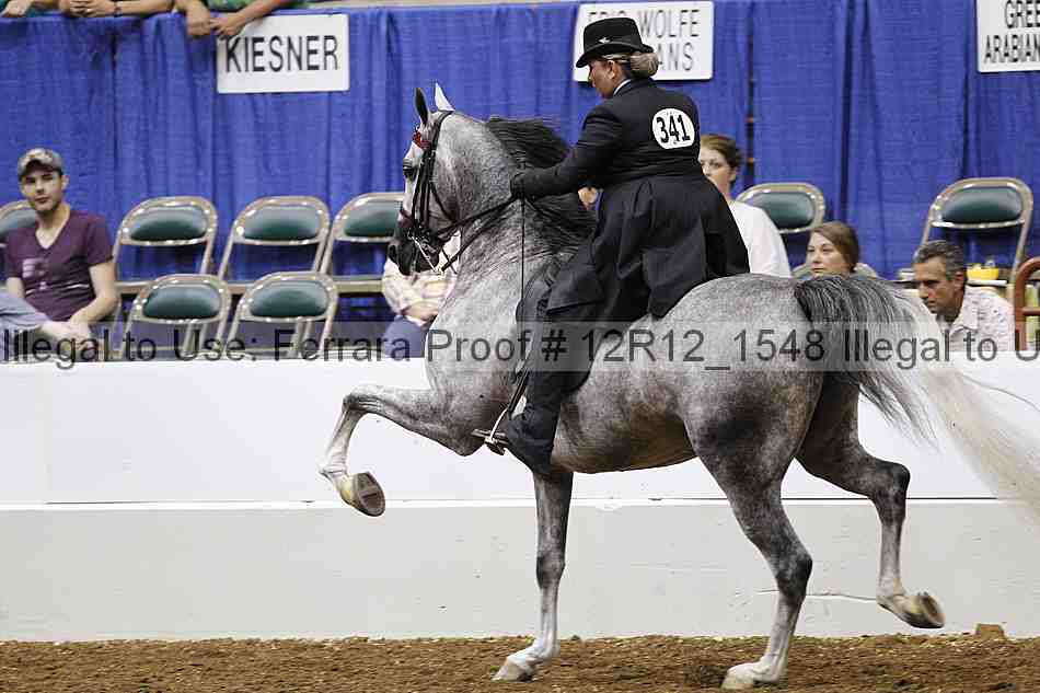 Proof Number 12r12_1548
