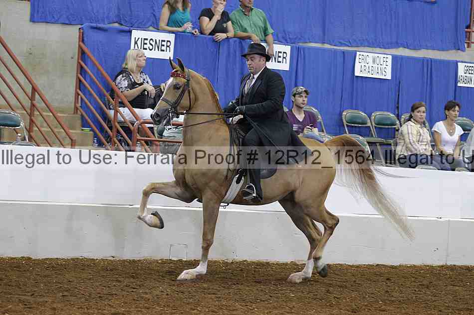 Proof Number 12r12_1564