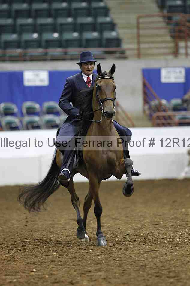 Proof Number 12r12_1567