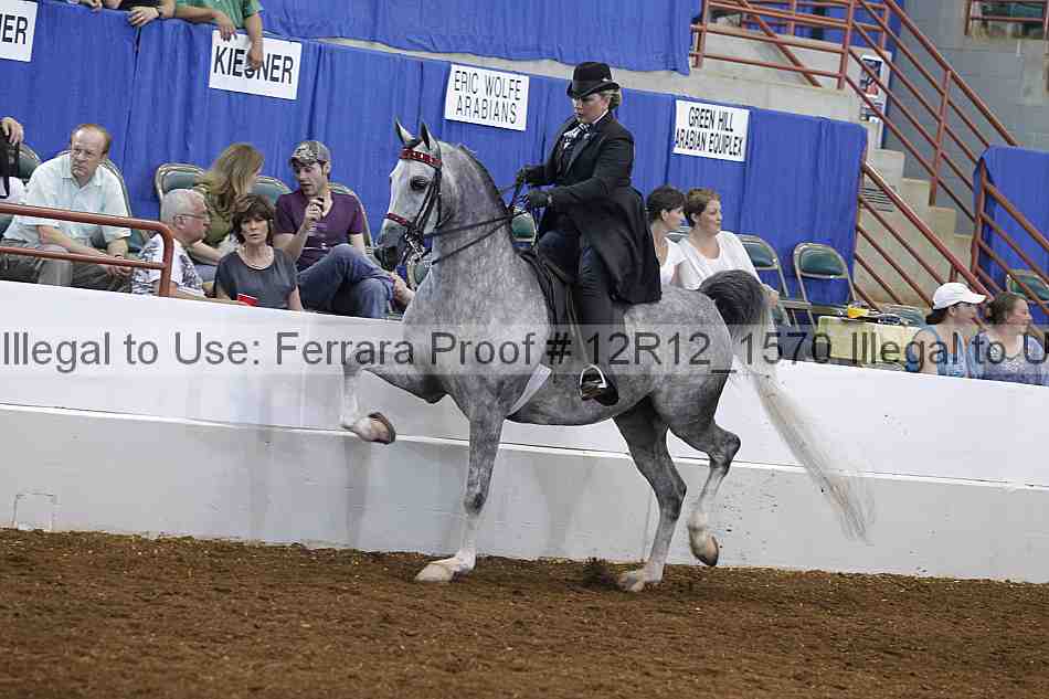 Proof Number 12r12_1570