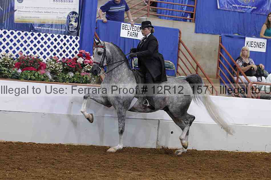 Proof Number 12r12_1571